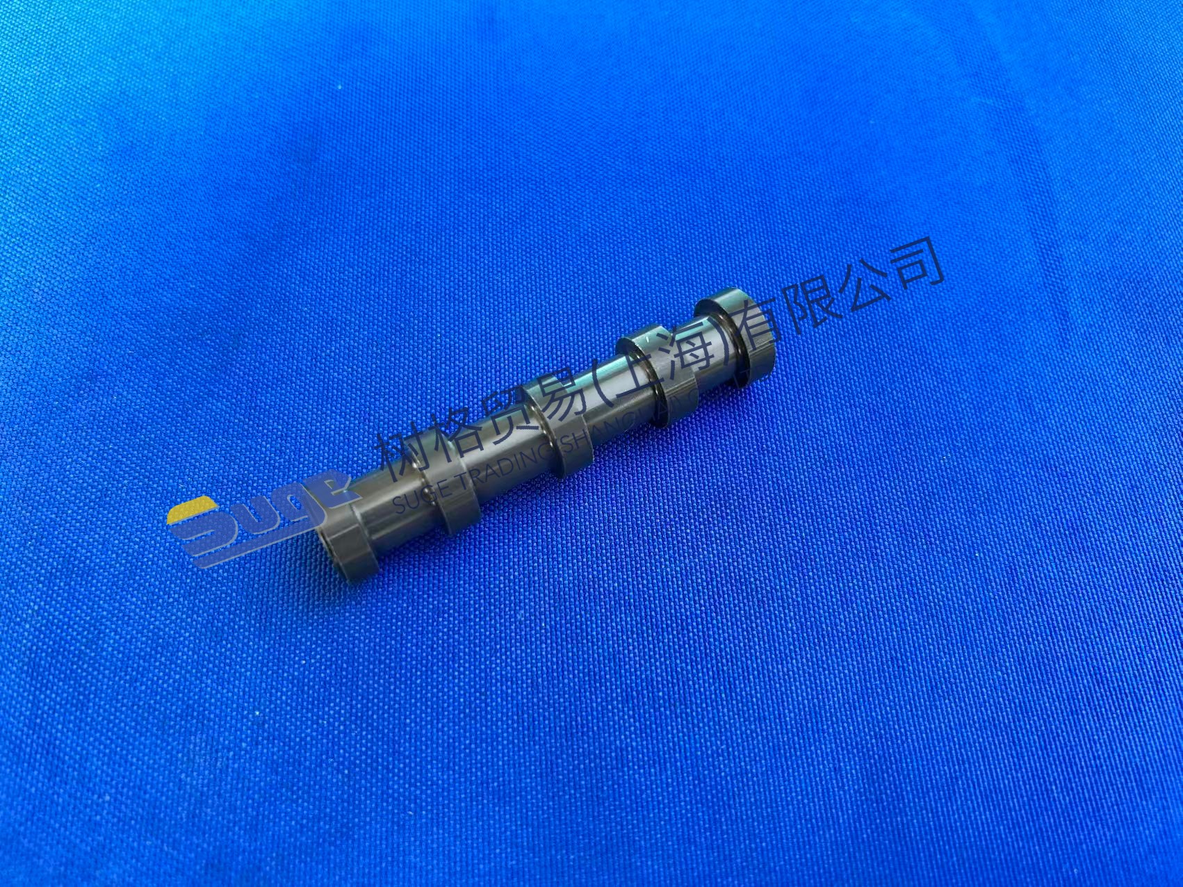 ZF 4WG200 Pistón 4644 306 383