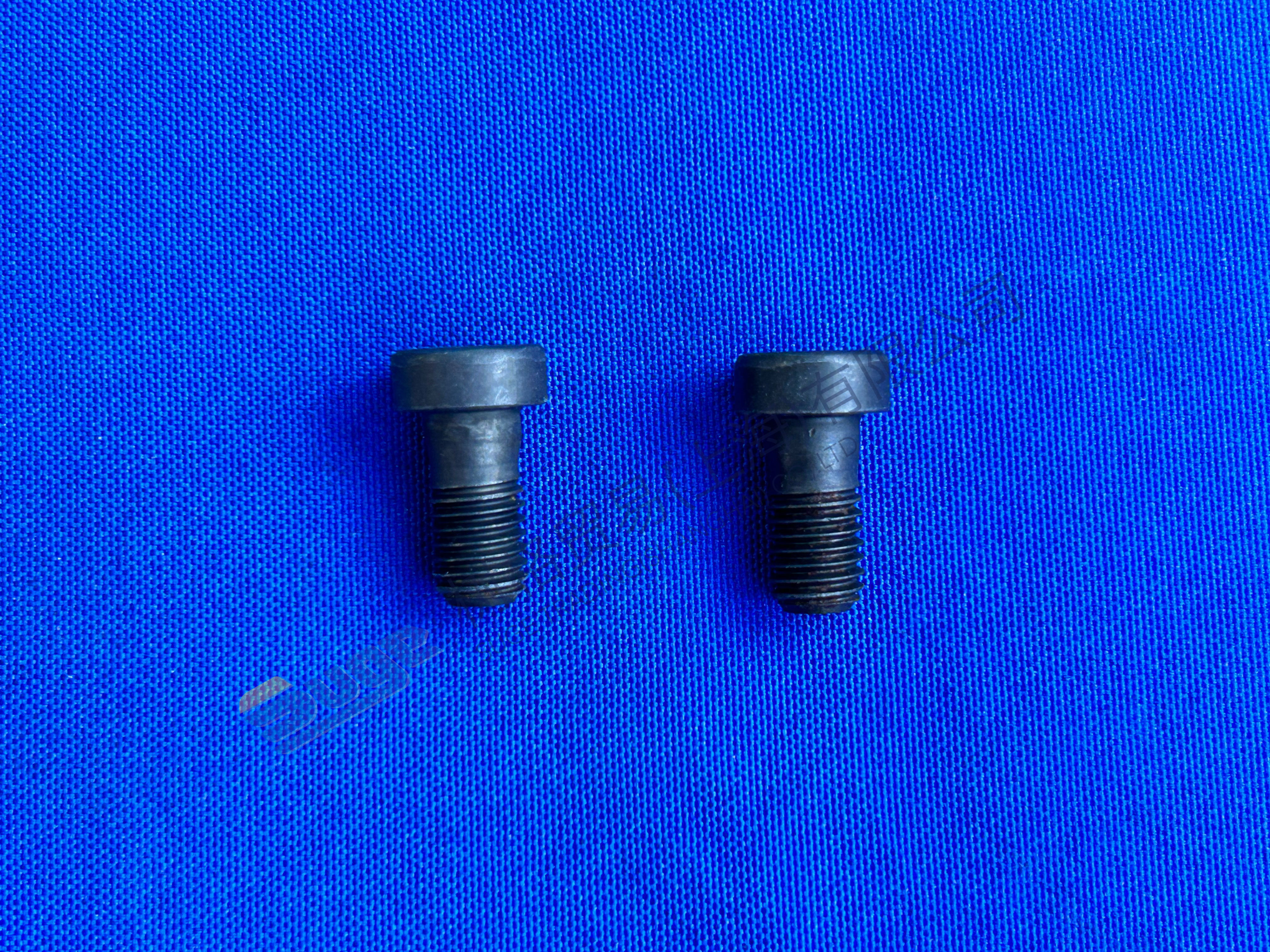 Tornillo de tapa del eje MT-E ZF 0636 102 041