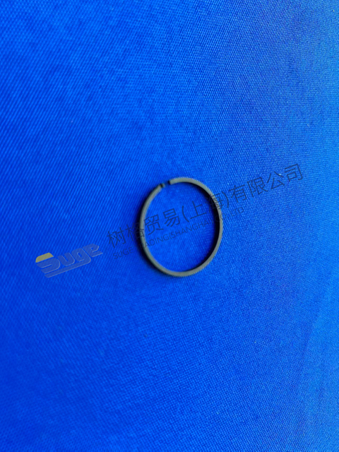 ZF 4WG200 Anillo R 0634 402 025