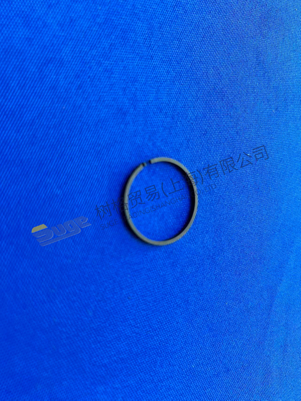 ZF 4WG200 Anillo R 0634 402 025