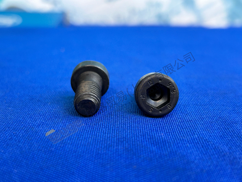 Tornillo de tapa del eje MT-E ZF 0636 102 041