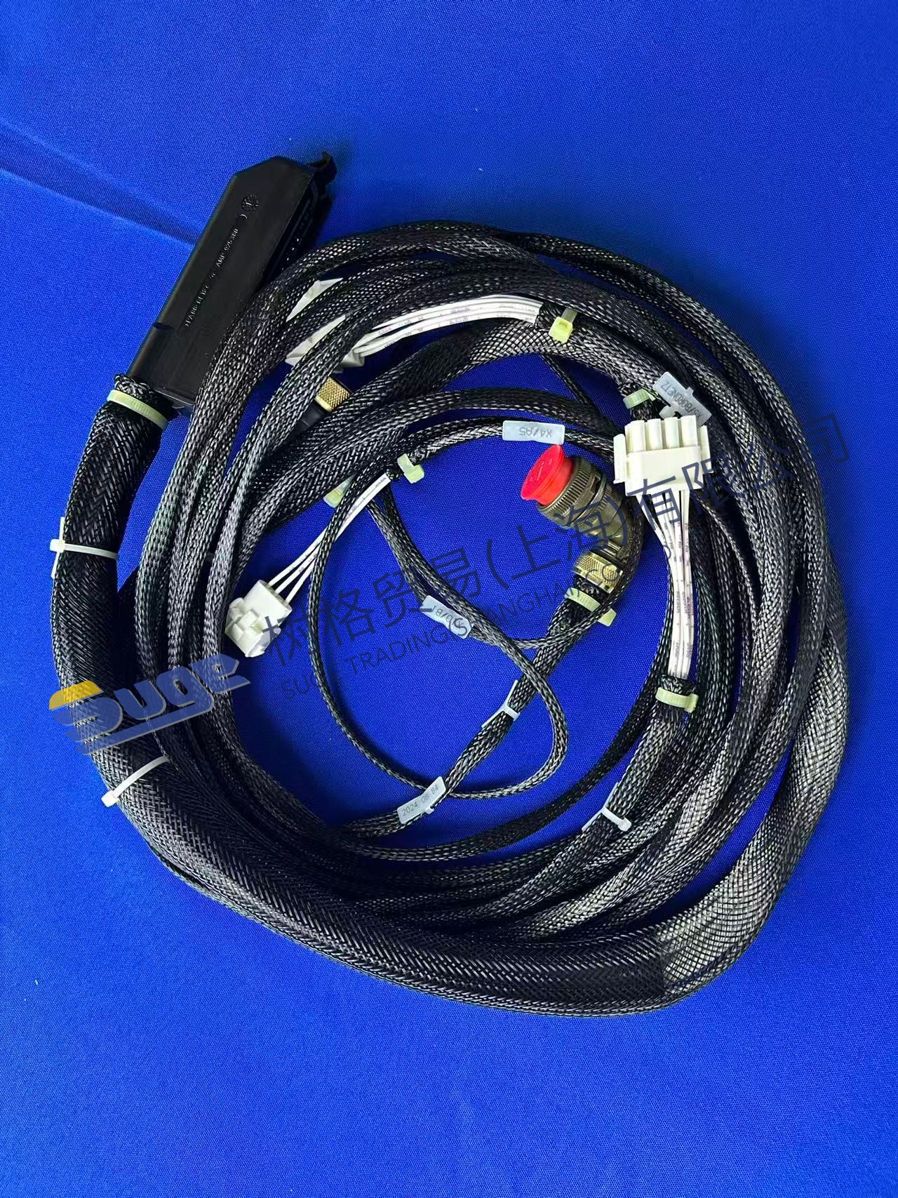 Cable de conexión ZF 4WG200 6029 204 859