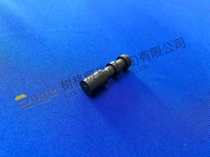ZF 4WG200 Pistón 4644 306 380