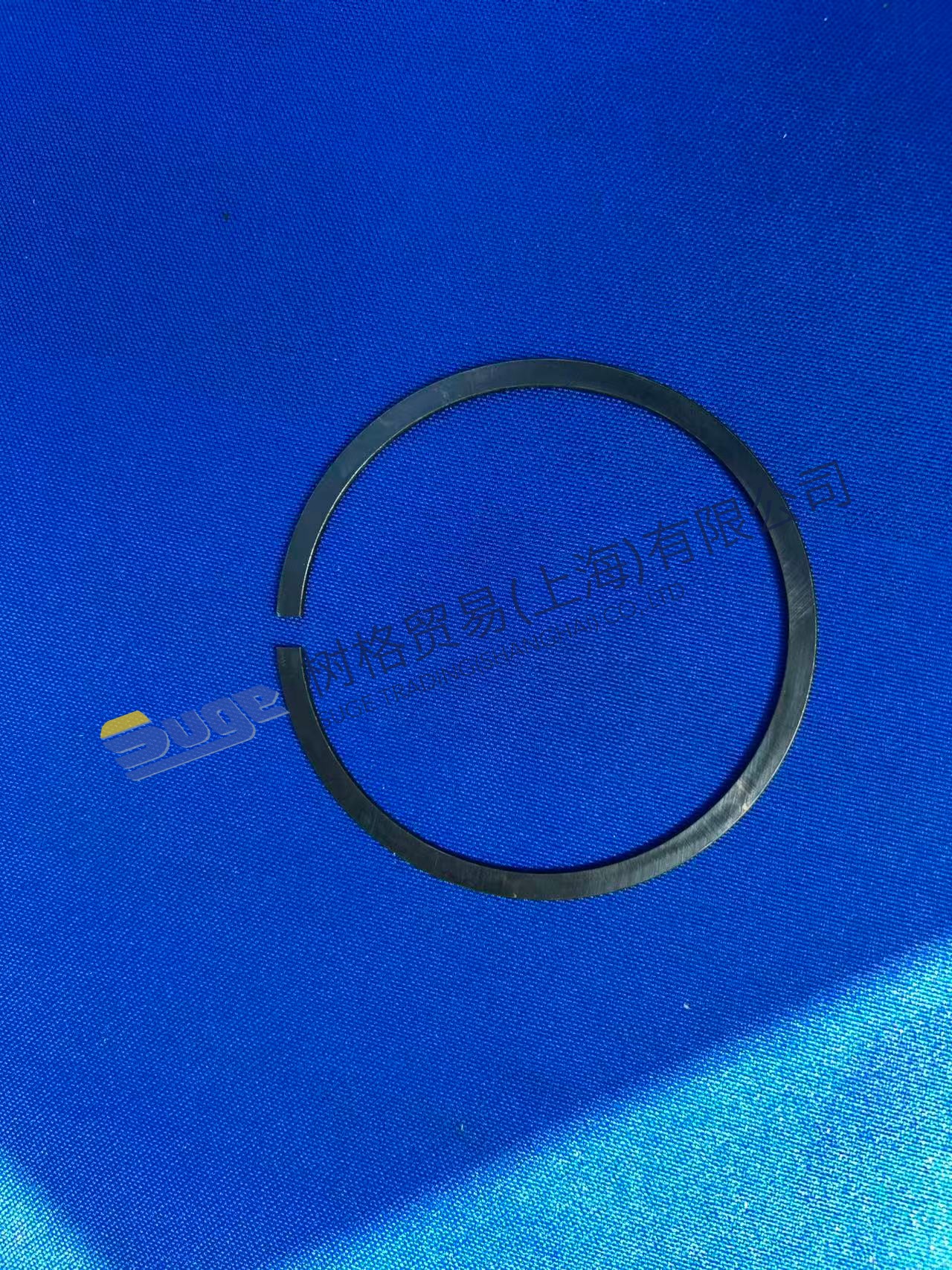 ZF 4WG200 Anillo elástico 0630 503 011