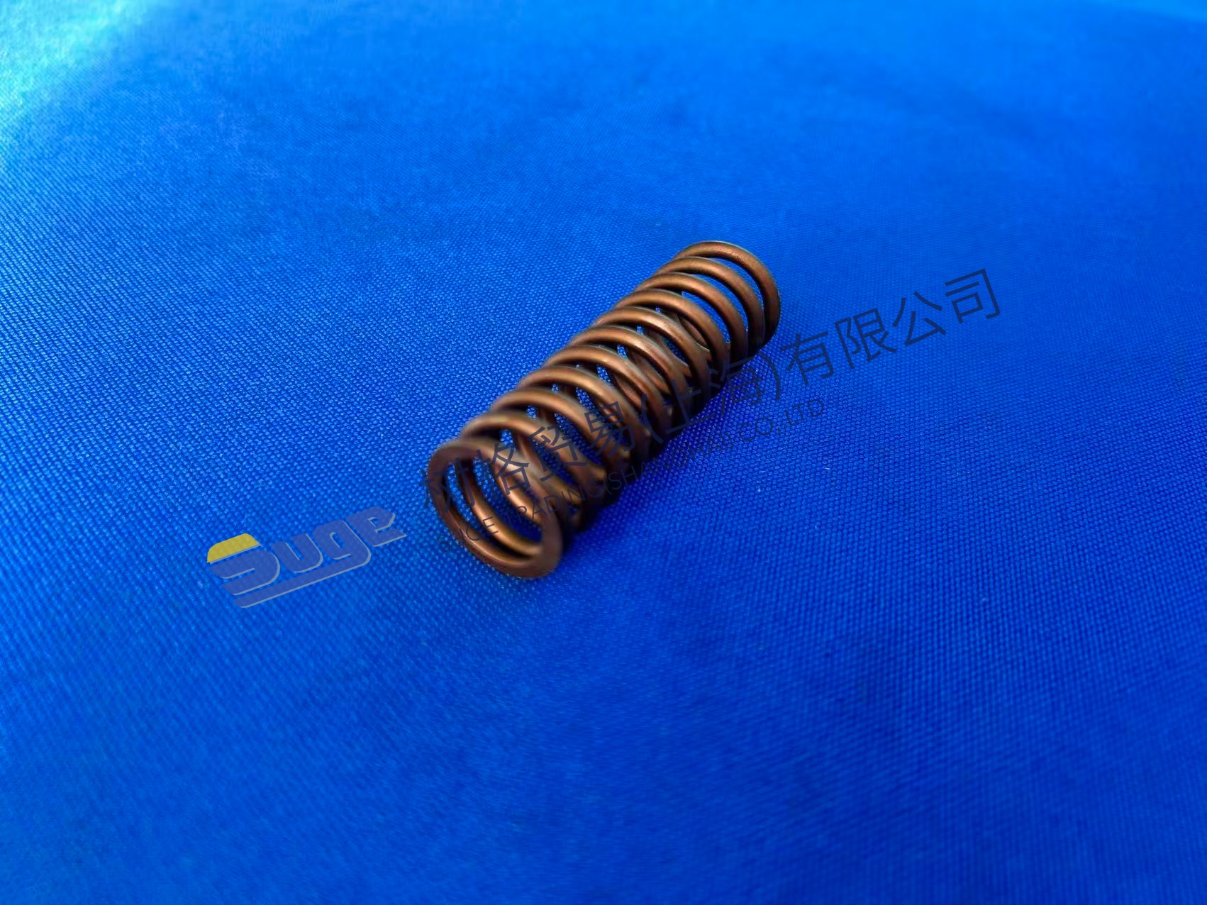 Resorte de compresión ZF 4WG200 0732 041 352