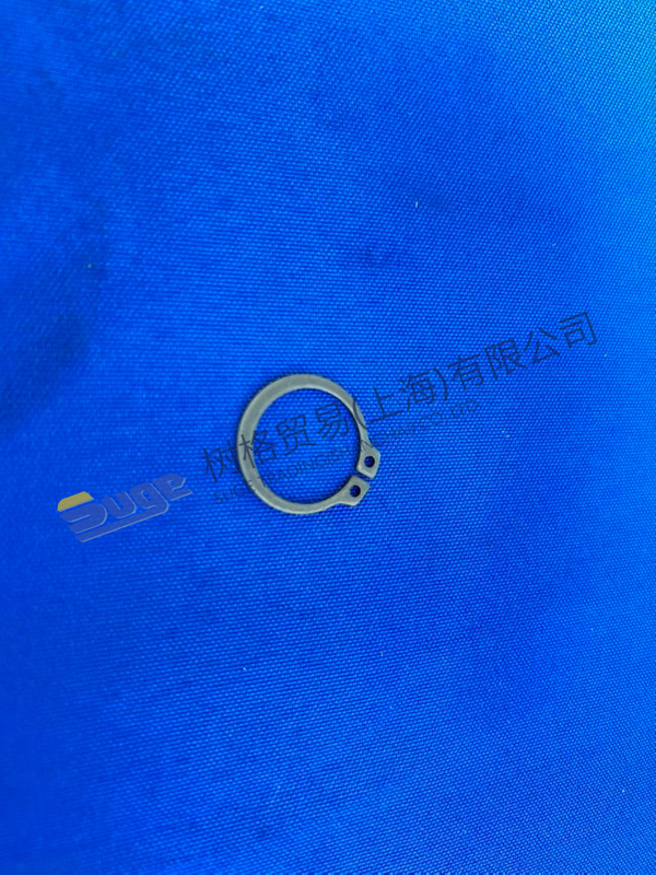 ZF 4WG200 Anillo elástico 0630 501 018