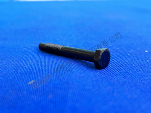 ZF MT-E Axle Hexagon Torny 0736 004 055
