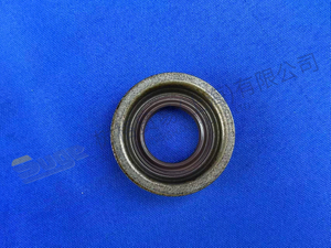 EMPAQUE DE BRIDA ZF 0750 112 253