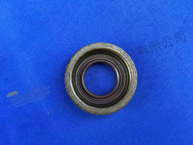 EMPAQUE DE BRIDA ZF 0750 112 253