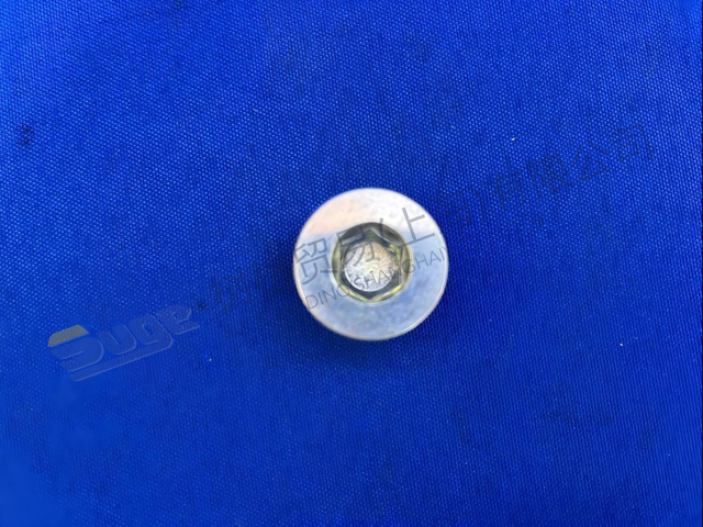 TAPON DE TORNILLO ZF 0636 302 612