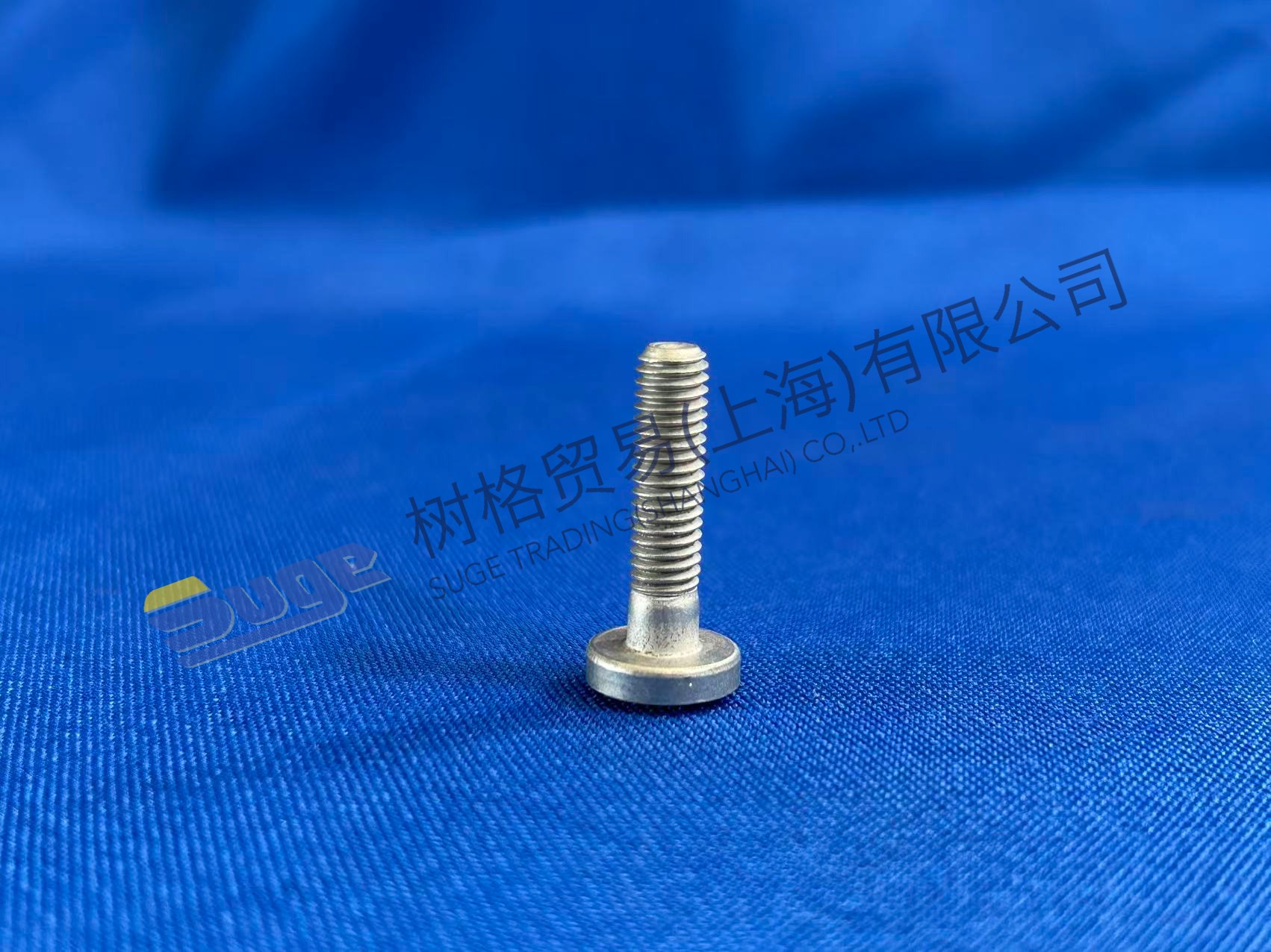 TORNILLO TORX ZF 0736 300 231
