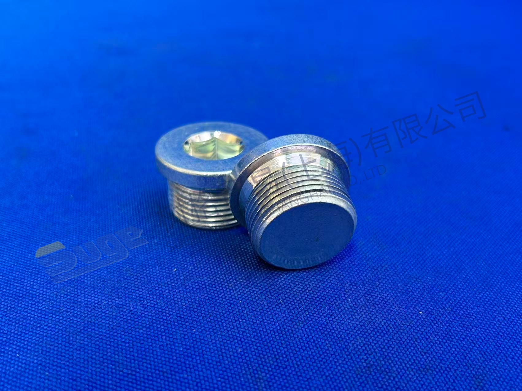 TAPON DE TORNILLO ZF 0636 302 612