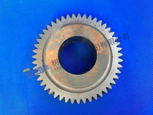 ENGRANAJE HELICOIDAL ZF 1310 303 069
