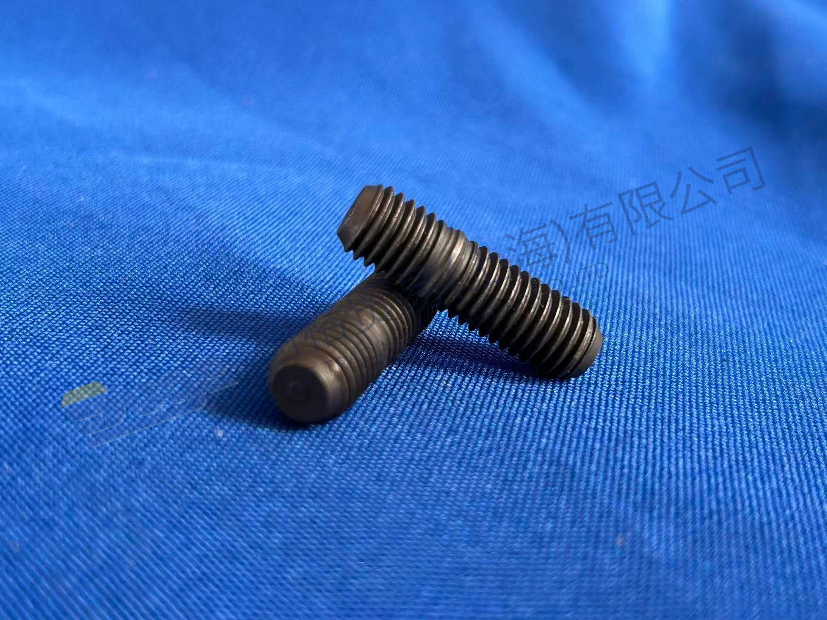ESPÁRRAGO ZF 0736 604 034