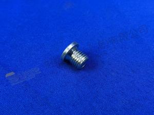 TAPON DE TORNILLO ZF 0636 100 792