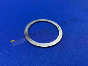 ZF 4BP230 ANILLO DE SOPORTE 0730 011 028