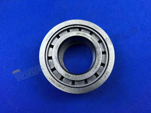 RODAMIENTO DE RODILLOS DEL CILINDRO ZF 0735 410 139
