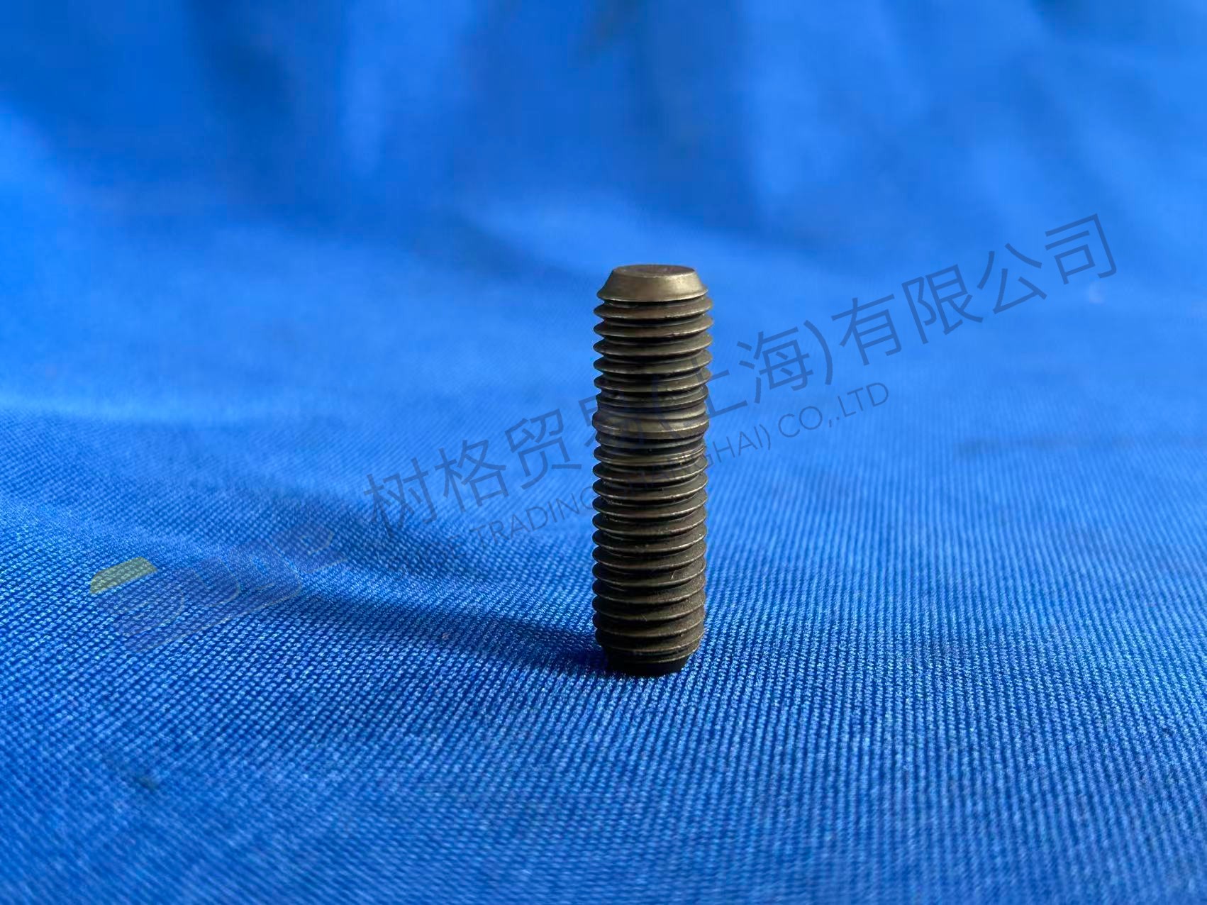 ESPÁRRAGO ZF 0736 604 034