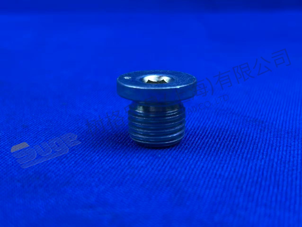 TAPON DE TORNILLO ZF 0636 100 689