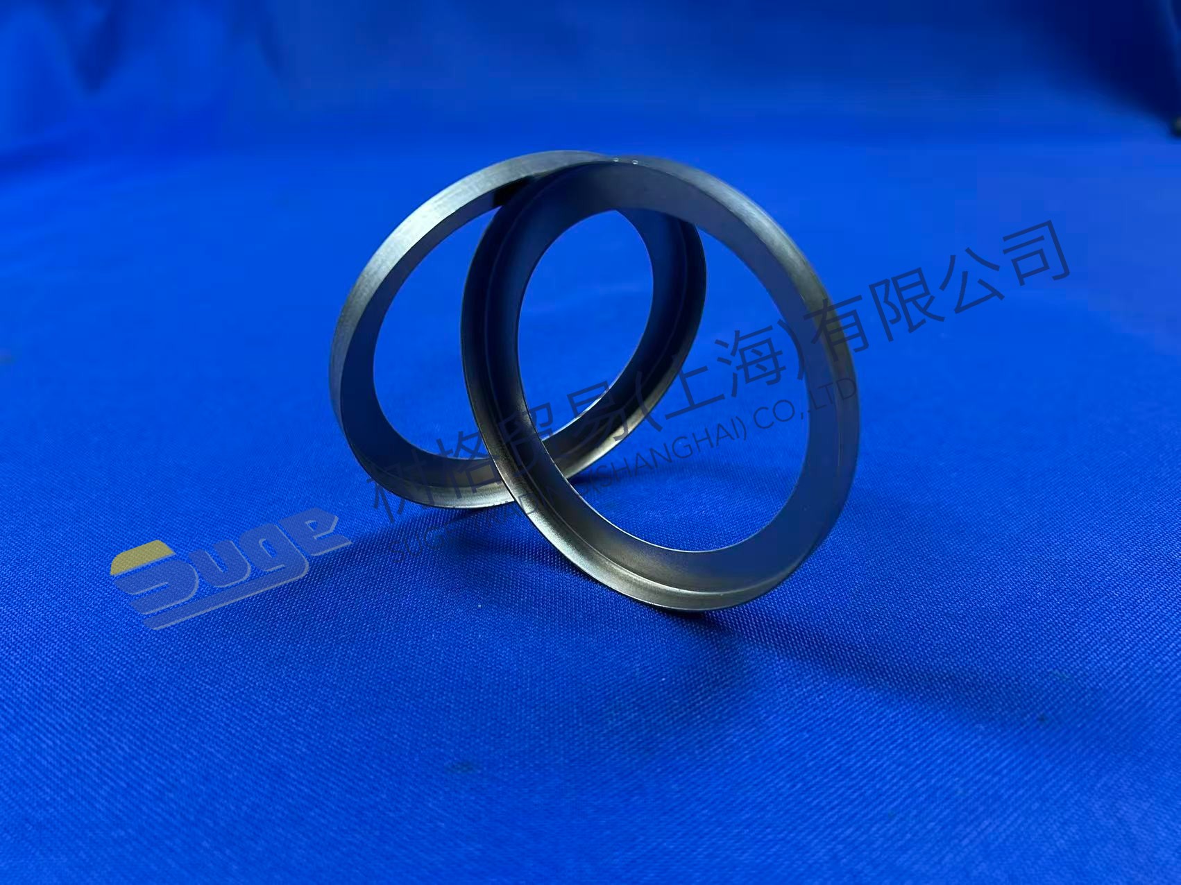 ZF 4BP230 ANILLO GUÍA 4642 308 083