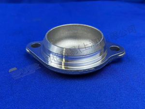 CUBIERTA ZF 1358 302 218