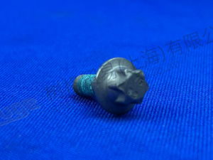 TORNILLO DE CONDUCCIÓN HEXALOBULAR ZF 0636 102 673