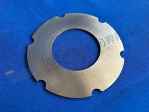 DISCO DE EMBRAGUE EXTERIOR ZF 4061 310 265