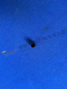 ZF 4BP230 PISTÓN 4657 306 105