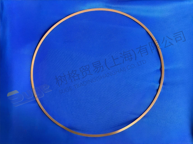 ANILLO DE SOPORTE ZF 0501 335 115