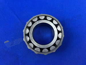 RODAMIENTO DE RODILLOS DEL CILINDRO ZF 0735 455 298