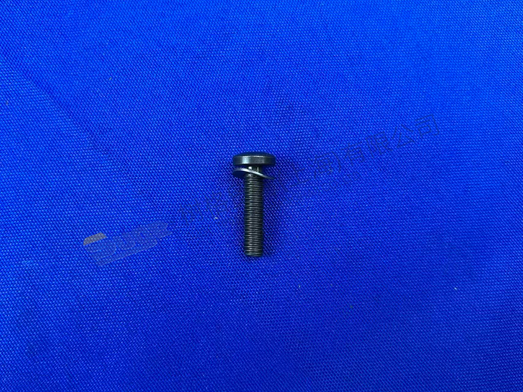 TORNILLO TORX ZF 0736 101 051
