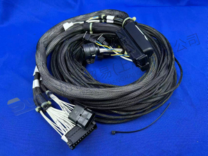 CABLE ZF TODOTERRENO 6029 017 060