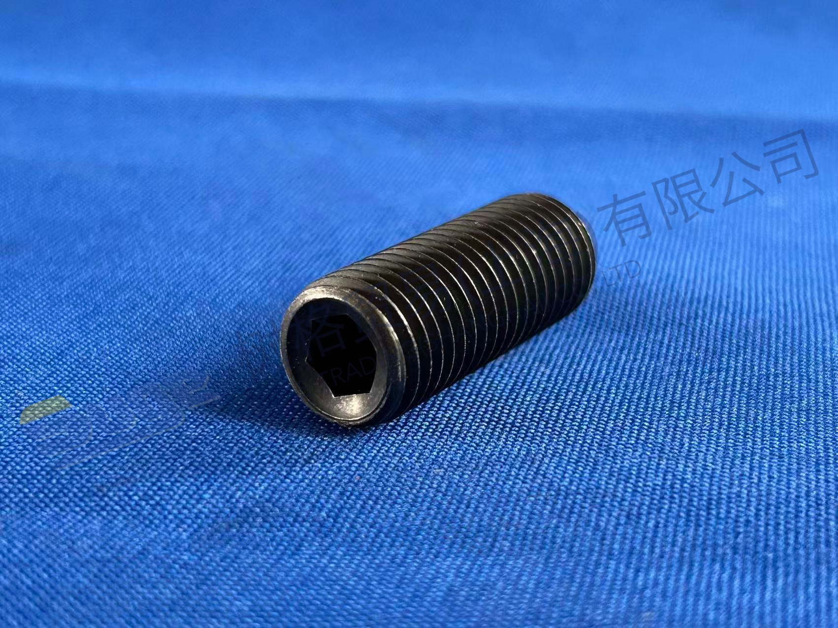 TORNILLO DE FIJACIÓN ZF 0501 317 060