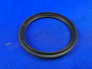 SELLO DEL EJE ZF 0734 300 679