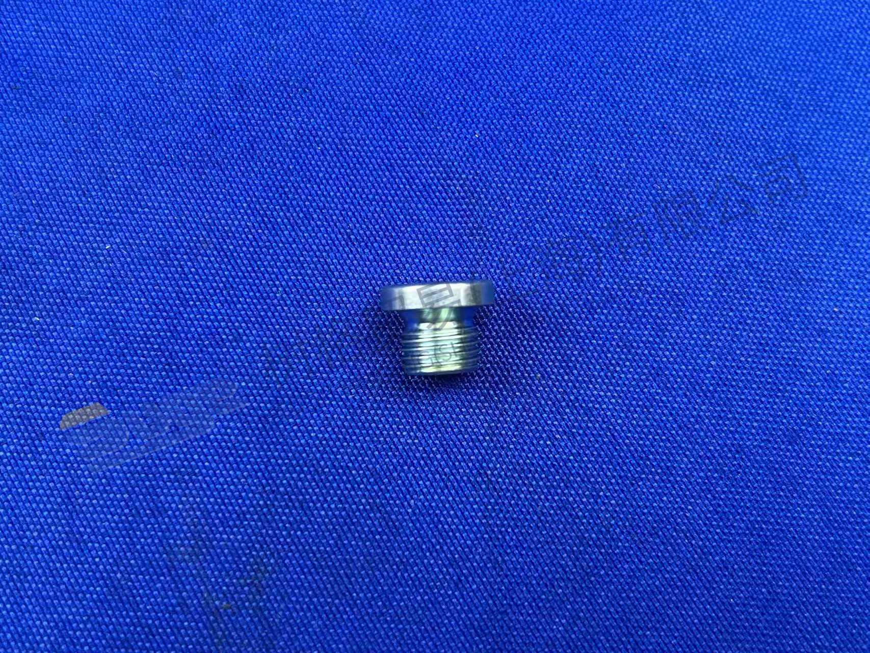 TAPON DE TORNILLO ZF 0636 100 793