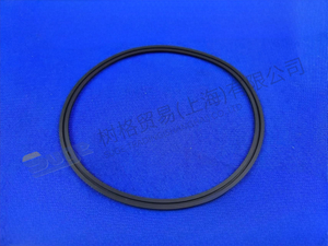 ANILLO DE SELLO DE LABIO ZF 0734 300 498