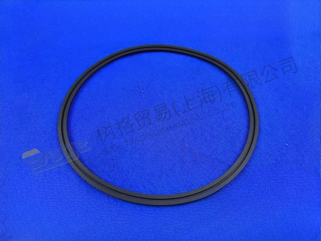 ANILLO DE SELLO DE LABIO ZF 0734 300 498