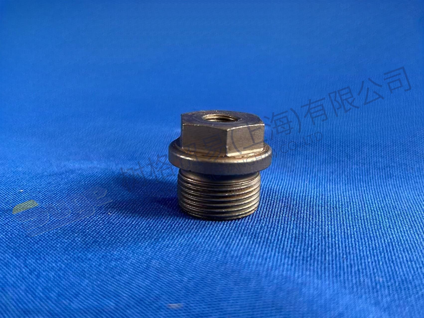 TAPON DE TORNILLO ZF 0736 304 110