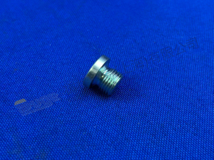 TAPON DE TORNILLO ZF 0636 100 793
