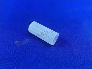 TAPA PROTECTORA ZF 1315 332 067