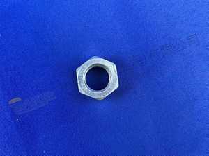 TUERCA DE BLOQUEO ZF 0737 300 037