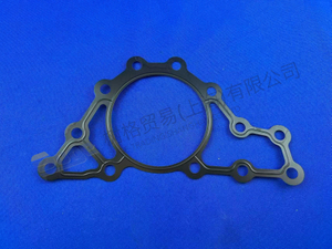 JUNTA ZF 1315 303 060